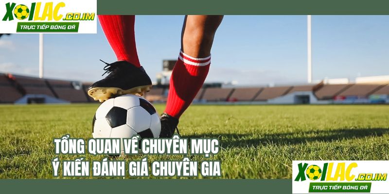 Tổng quan về chuyên mục ý kiến đánh giá chuyên gia